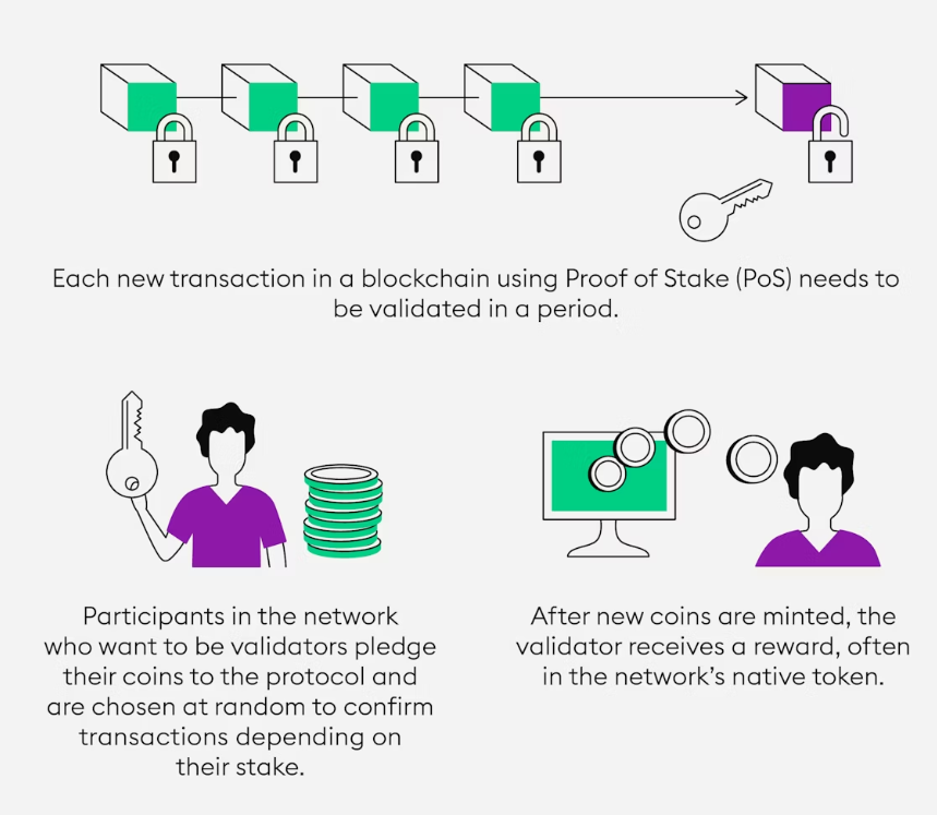 This pictures is to explain what staking is about in cryptocurrency 